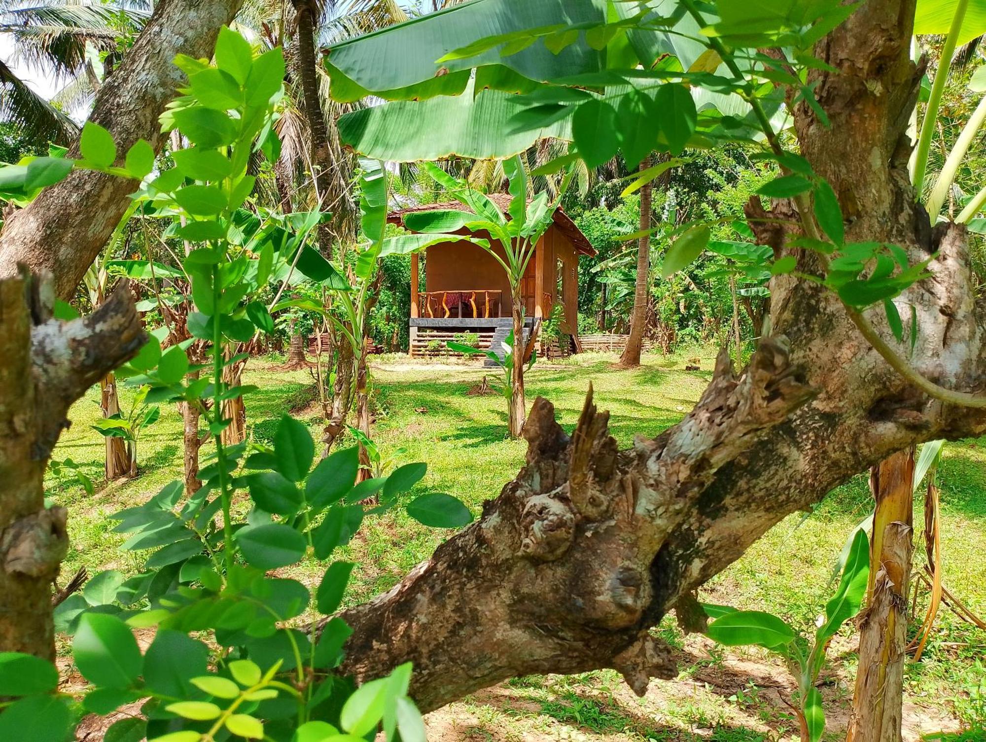 Milk House Cottage Udawalawe Exterior photo
