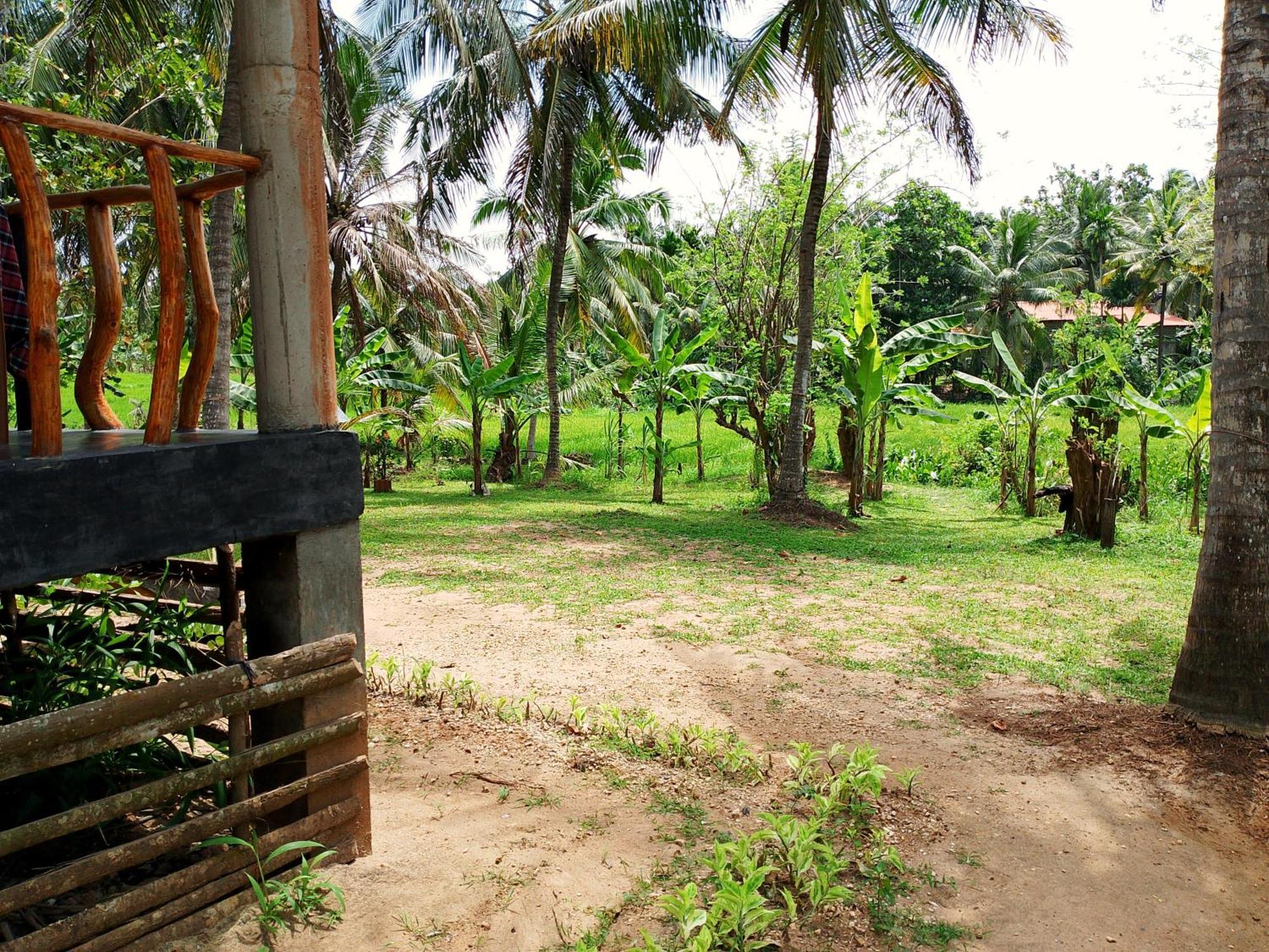 Milk House Cottage Udawalawe Exterior photo