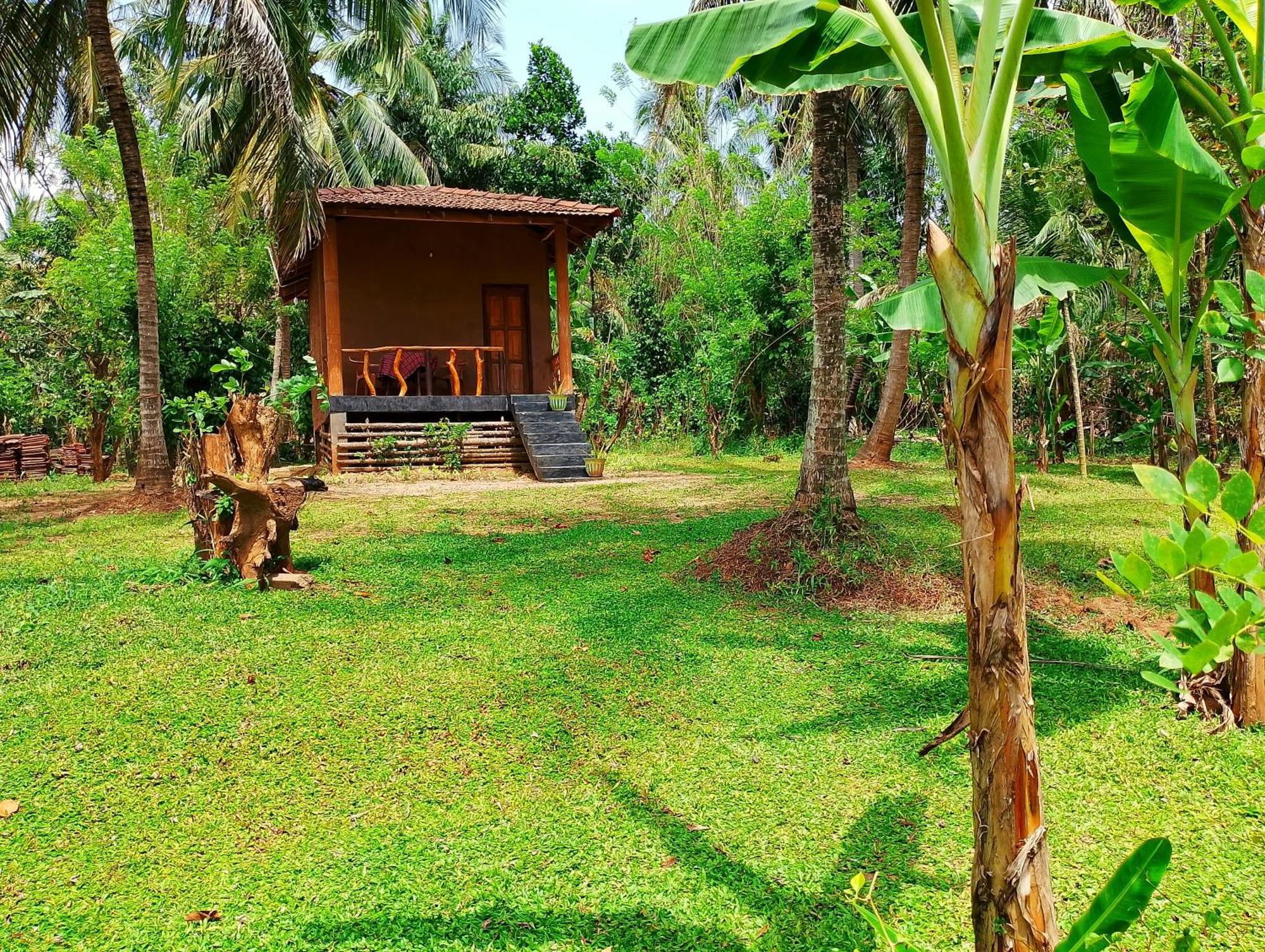 Milk House Cottage Udawalawe Exterior photo