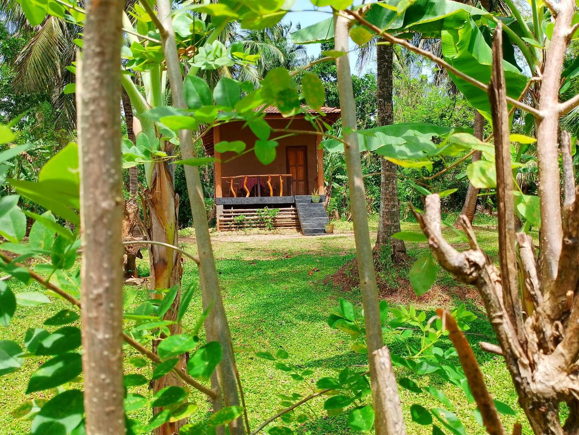 Milk House Cottage Udawalawe Room photo